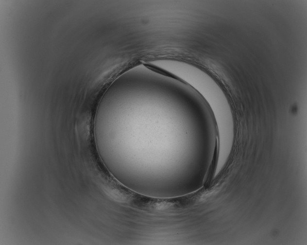 X0000089450501200707061245