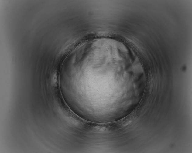 X0000089450502200707061245