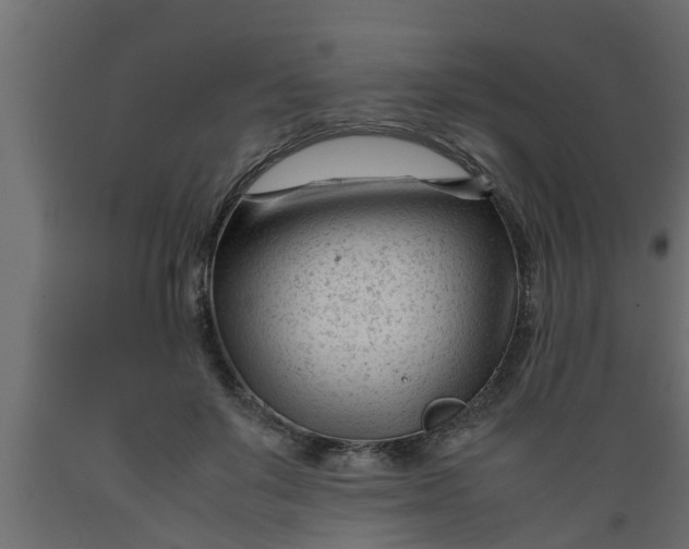 X0000089450503200707061245