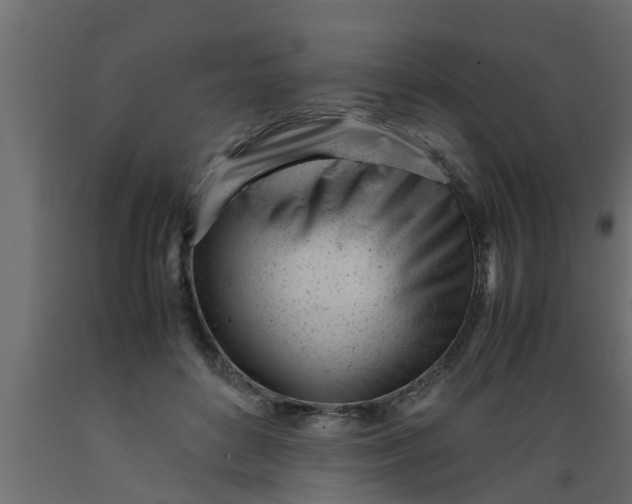 X0000089450504200707061245