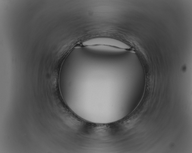 X0000089450505200707061245