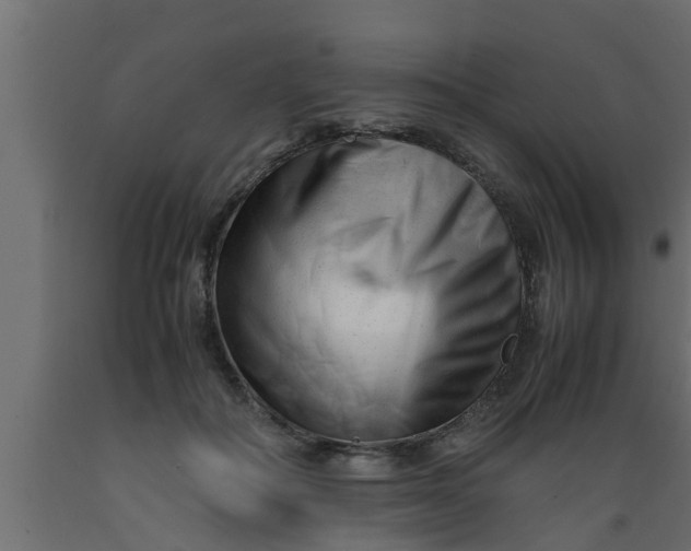 X0000089450506200707061245