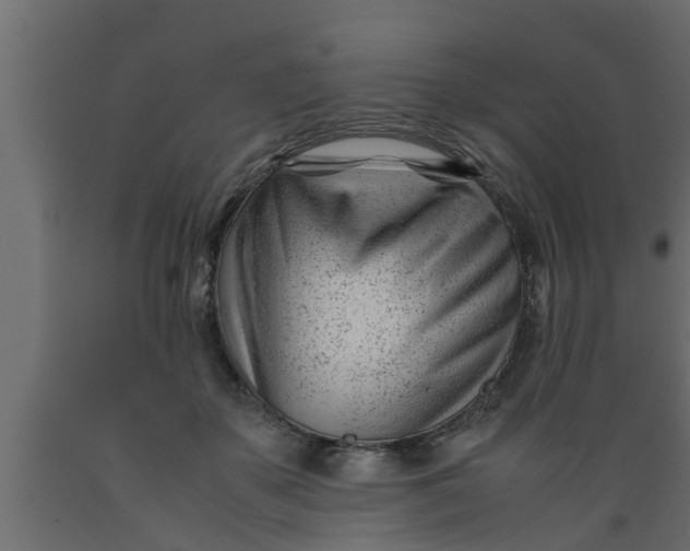 X0000089450507200707061245