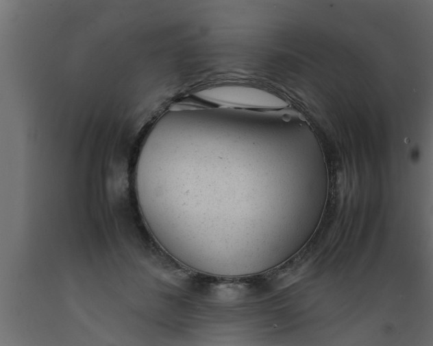 X0000089450508200707061245