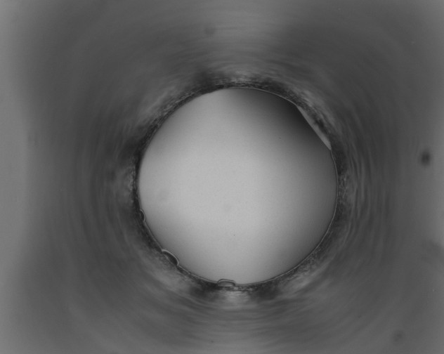 X0000089450509200707061245