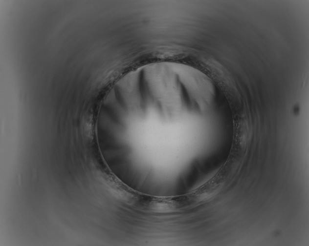 X0000089450510200707061245