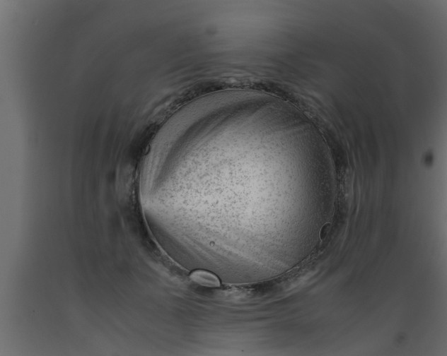 X0000089450511200707061245