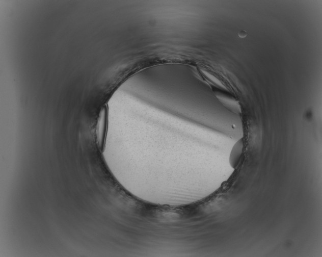 X0000089450513200707061245