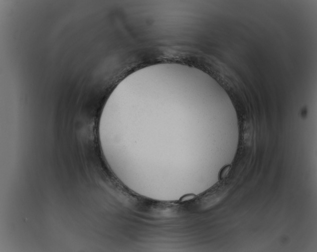 X0000089450514200707061245