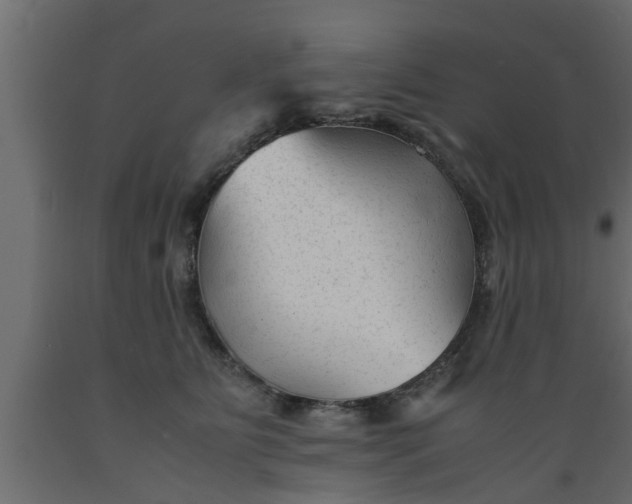 X0000089450515200707061245