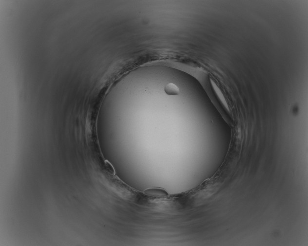 X0000089450516200707061245