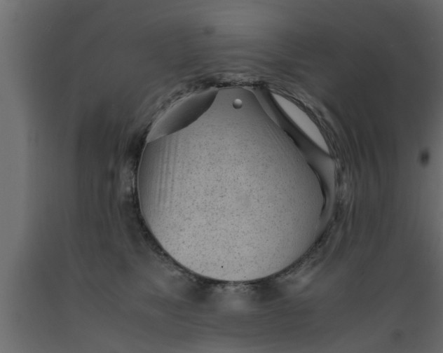 X0000089450517200707061245