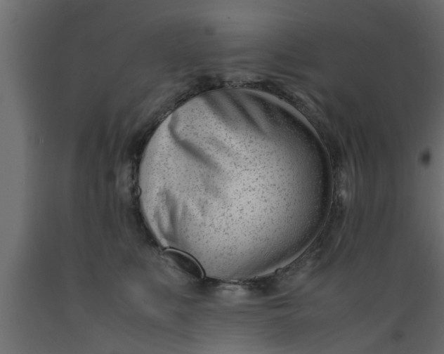 X0000089450519200707061245