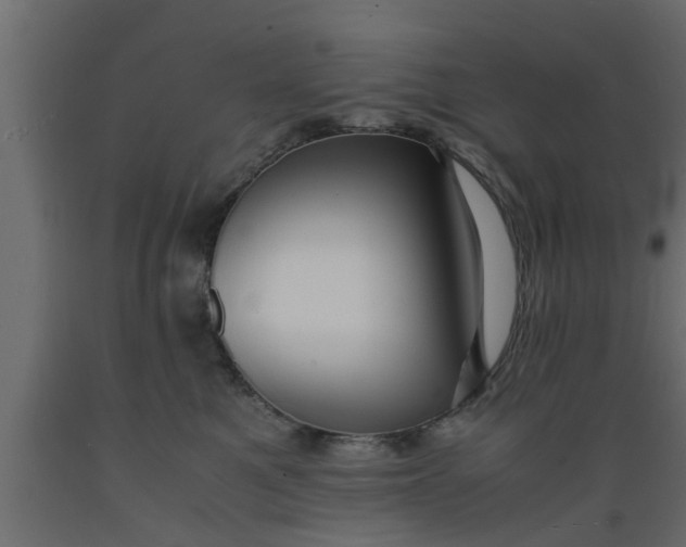 X0000089450521200707061245