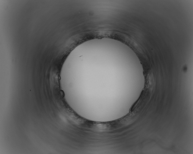 X0000089450522200707061245