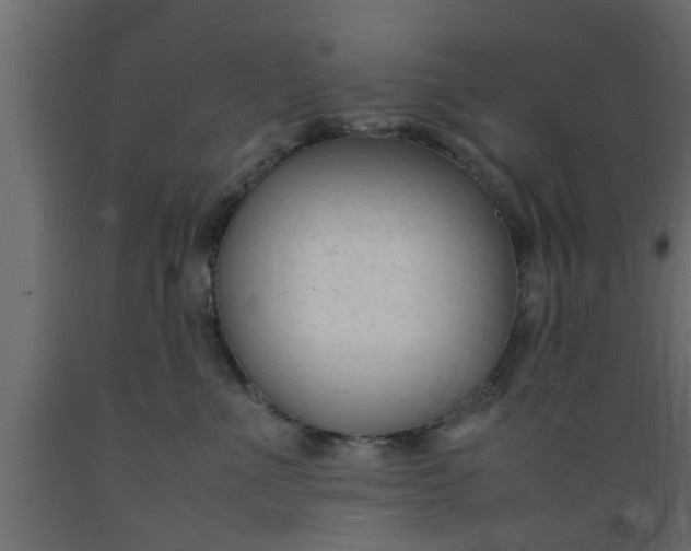 X0000089450523200707061245