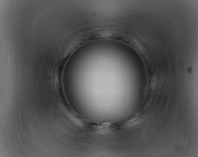 X0000089450524200707061245