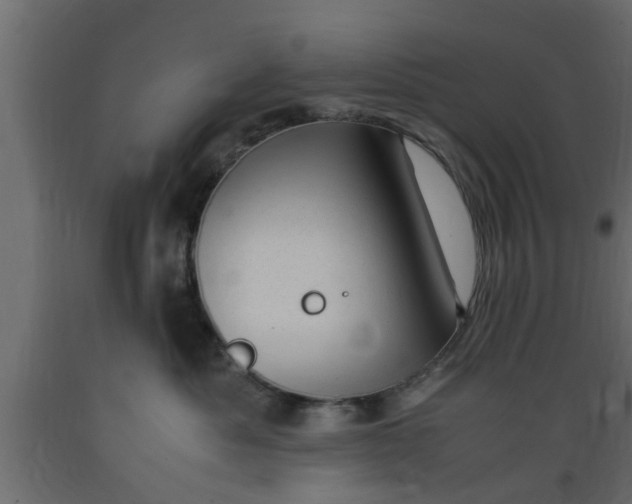 X0000089450525200707061245