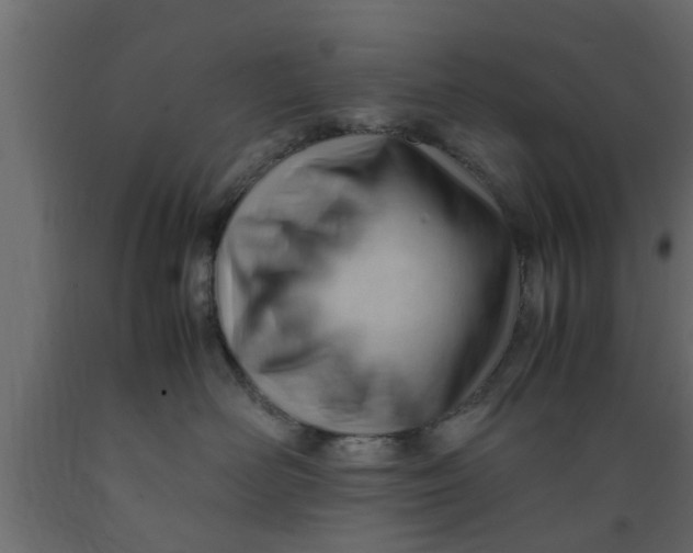 X0000089450526200707061245