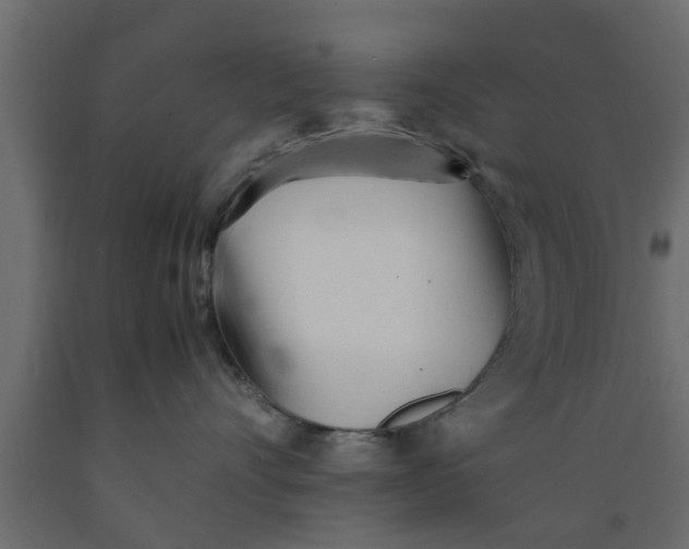 X0000089450528200707061245