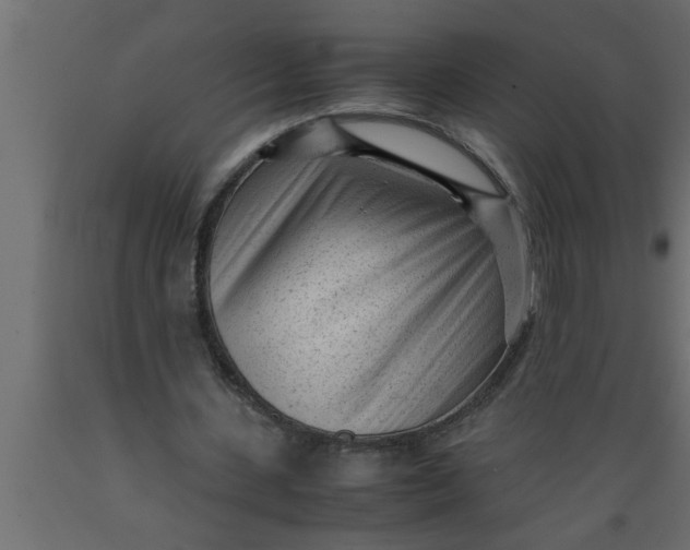 X0000089450531200707061244