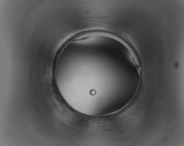 X0000089450532200707061244