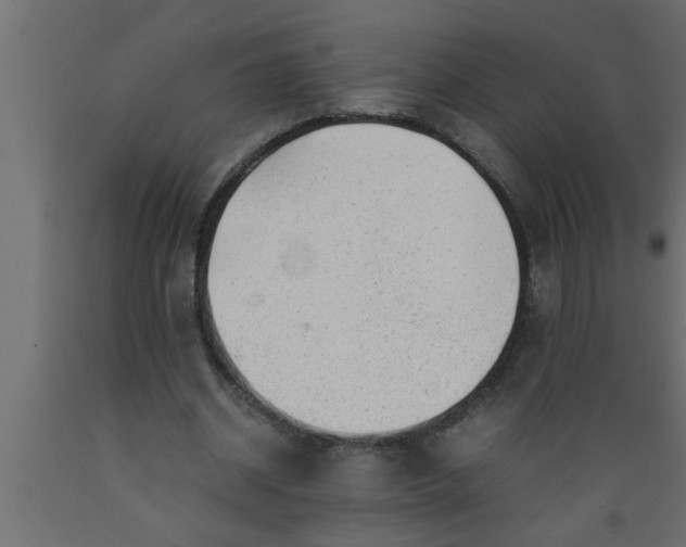 X0000089450534200707061244