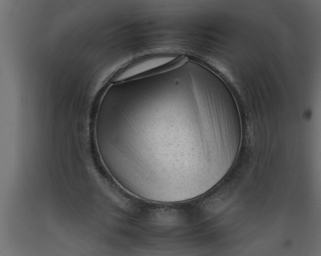 X0000089450535200707061244