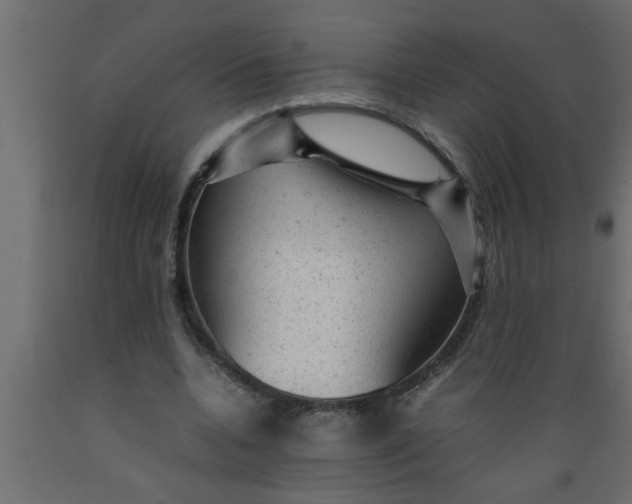 X0000089450536200707061244