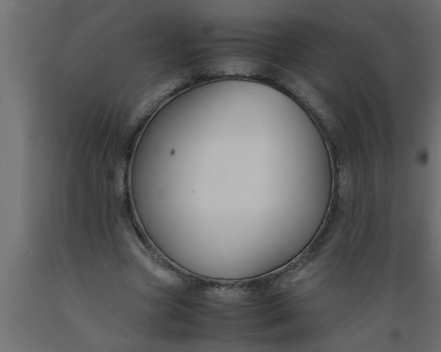 X0000089450537200707061244