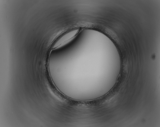 X0000089450538200707061244