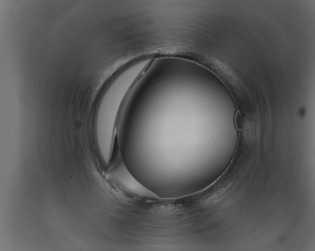 X0000089450540200707061244