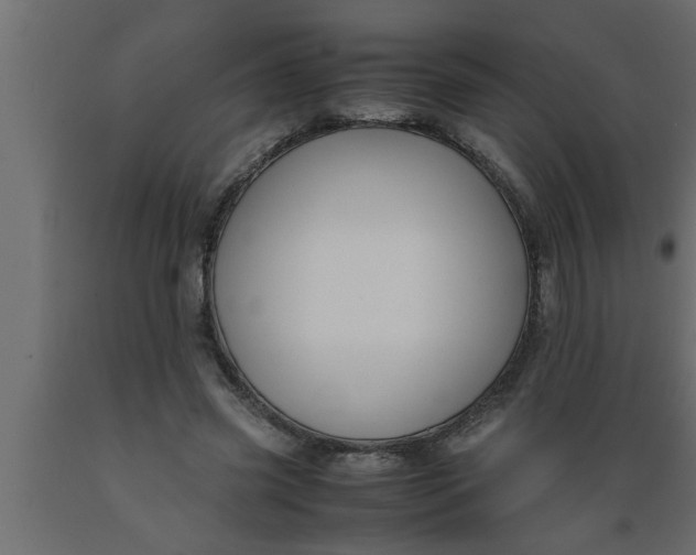 X0000089450541200707061244