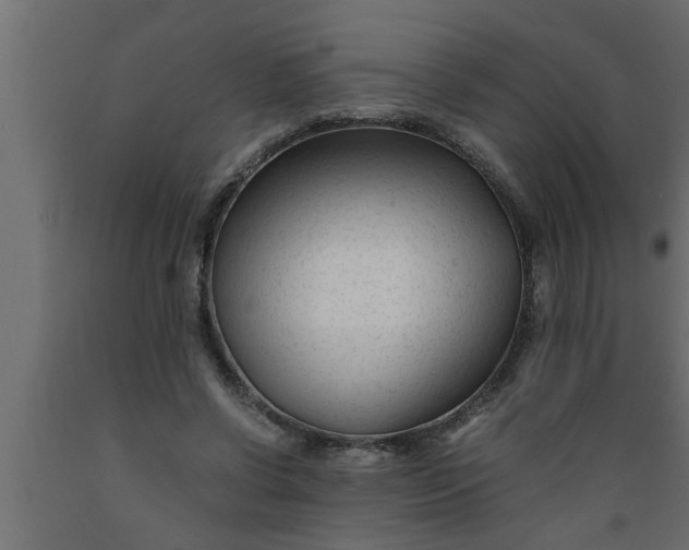 X0000089450542200707061244