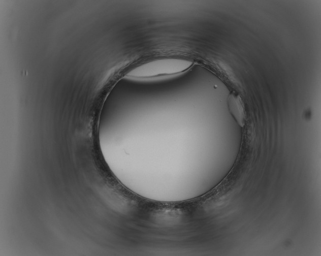 X0000089450543200707061244