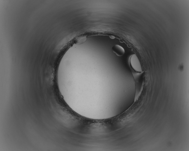 X0000089450544200707061244