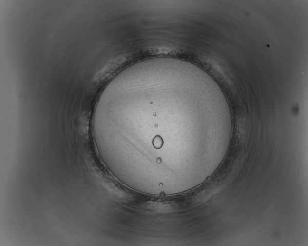 X0000089450545200707061244