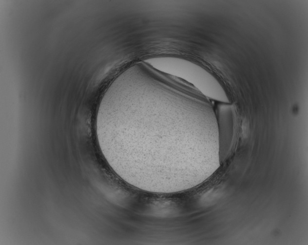 X0000089450547200707061244