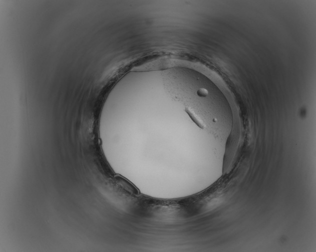 X0000089450548200707061244