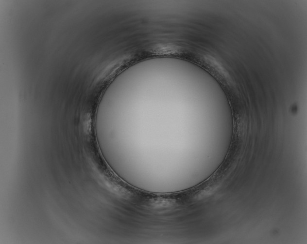 X0000089450549200707061244