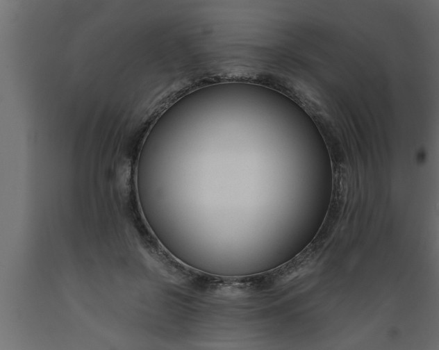 X0000089450550200707061244