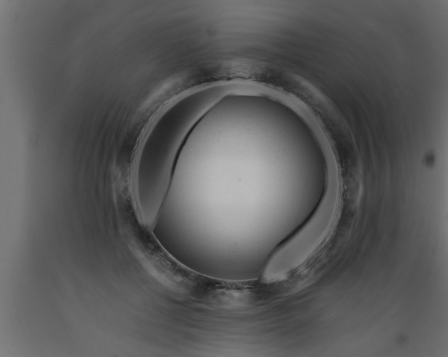 X0000089450552200707061244