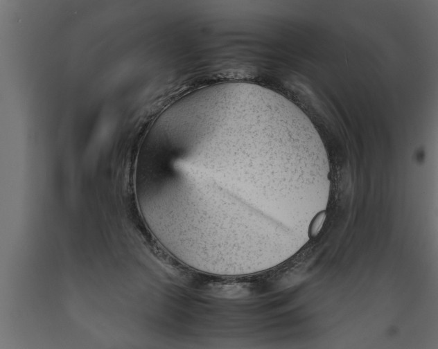 X0000089450553200707061244