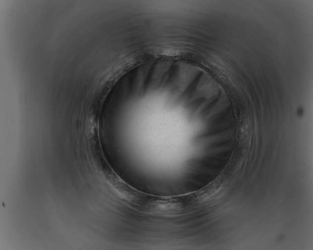 X0000089450555200707061244