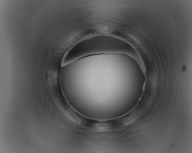 X0000089450556200707061244