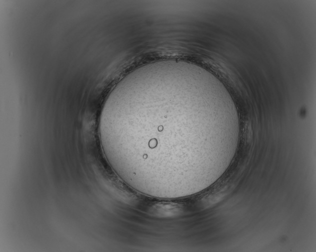 X0000089450557200707061244