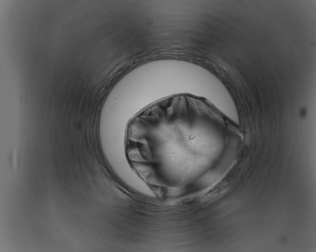 X0000089450558200707061244