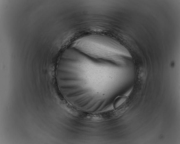 X0000089450559200707061244