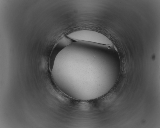 X0000089450562200707061244