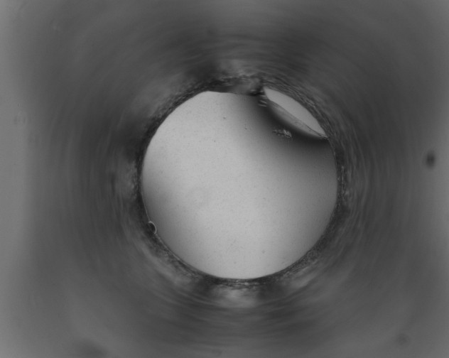 X0000089450563200707061244